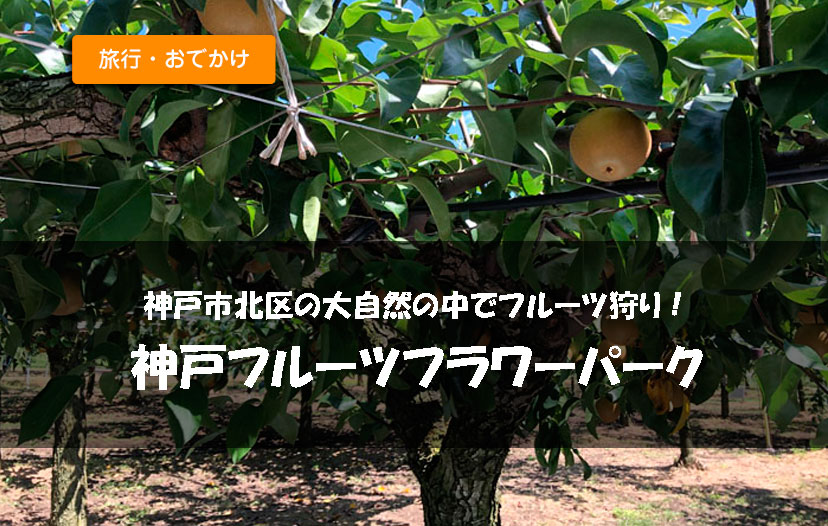おでかけ 神戸市北区の大自然の中でフルーツ狩り 神戸フルーツフラワーパーク ユリのブログ